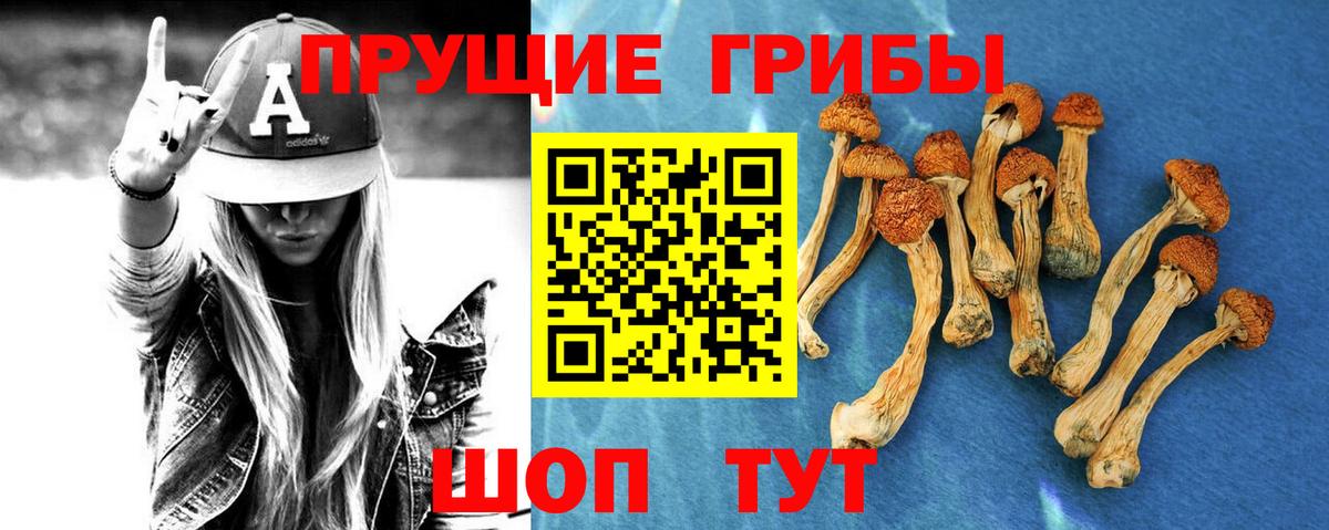 Новоалтайск  Псилоцибиновые грибы Magic Shrooms  где можно купить   Вход с VPN 